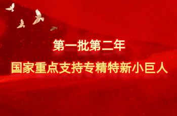全国仅575家 | 北方头号玩家官网入选第一批第二年国度沉点支持专精特新幼巨人